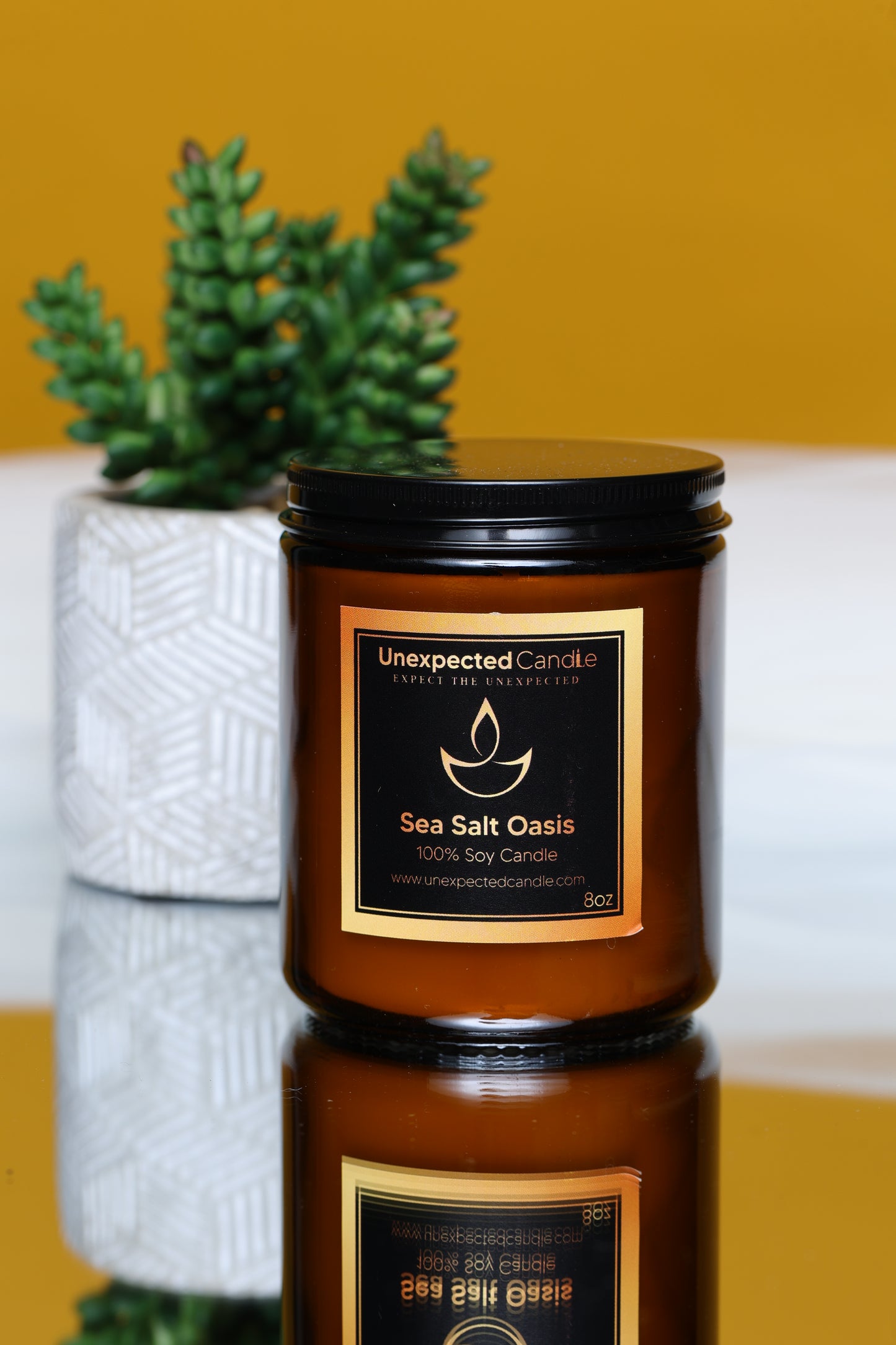 Sea Salt Oasis