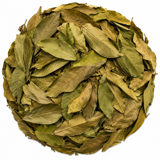 Organic Soursop Leaves